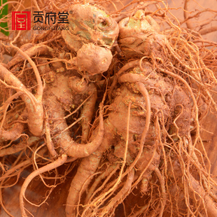 2025年新鲜三七云南三七 500克10头内云南文山乡野生三七泡酒 包邮