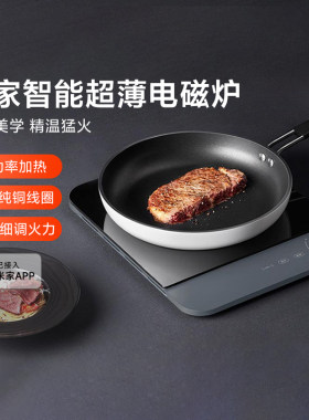 小米米家智能超薄电磁炉99挡火力