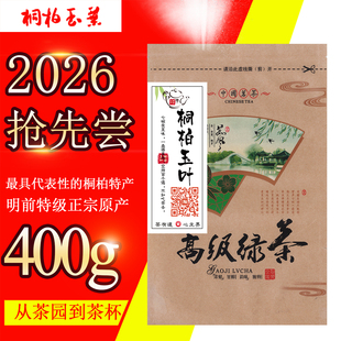 拍2发3共1.2kg河南南阳桐柏小龙井特级明前高山富硒好茶超值口粮