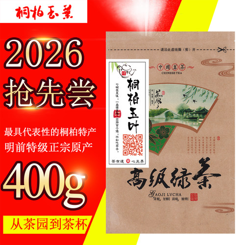 拍2发3共1.2kg河南南阳桐柏小龙井特级明前高山富硒好茶超值口粮