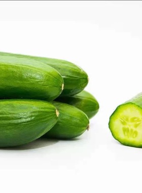 迷你小黄瓜 Cucumbers-baby 水果黄瓜 新鲜蔬菜