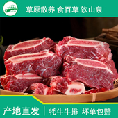 青海牦牛排 溜达羊 新鲜现杀牛肉牛排牛肋条寸排肋骨黄膘牛排