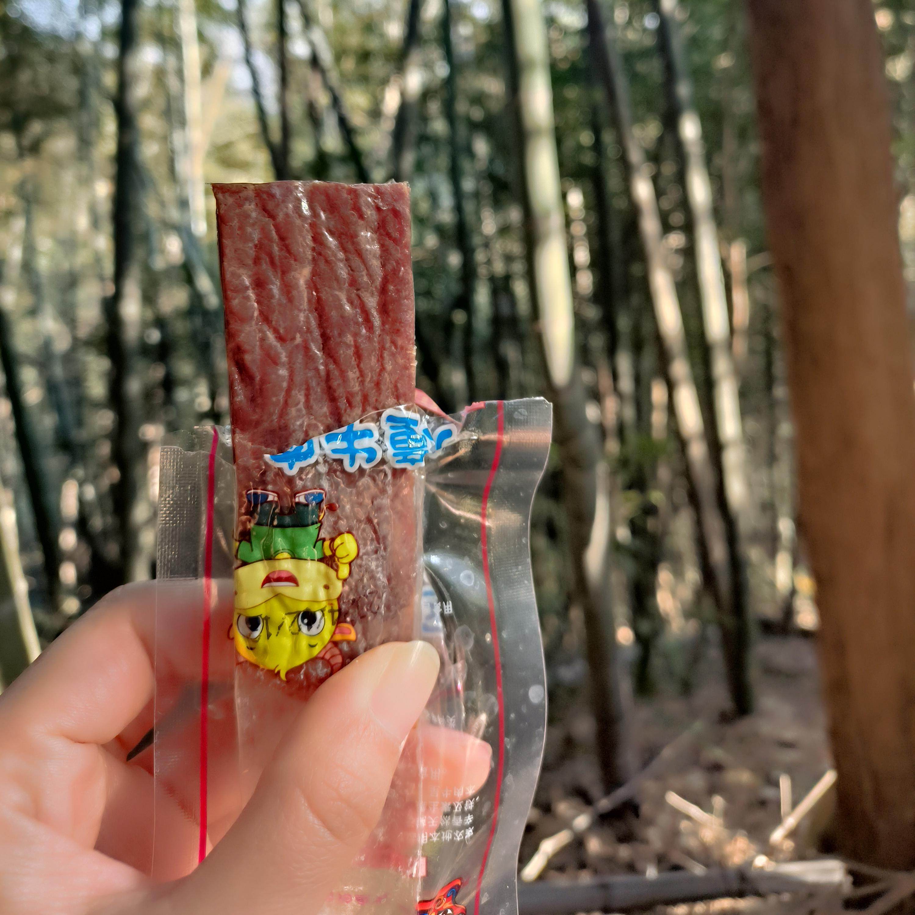 四川久全牛肉干手撕儿童牛肉干 原味0零添加