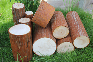 原木墩道具围栏庭院摆件壁炉装饰柴火杉栅栏木桩摆件品装饰创意