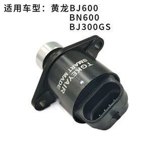 适用于黄龙蓝宝龙BJ300GS BJ600GS/BN600/步进电机怠速马达