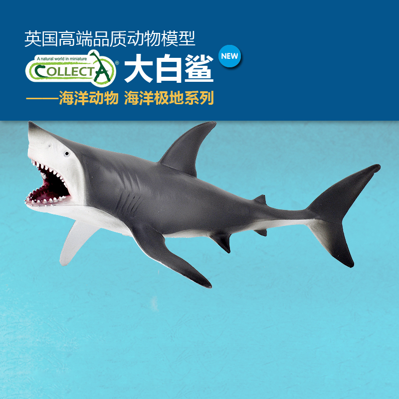COLLECTA海洋动物模型儿童玩具