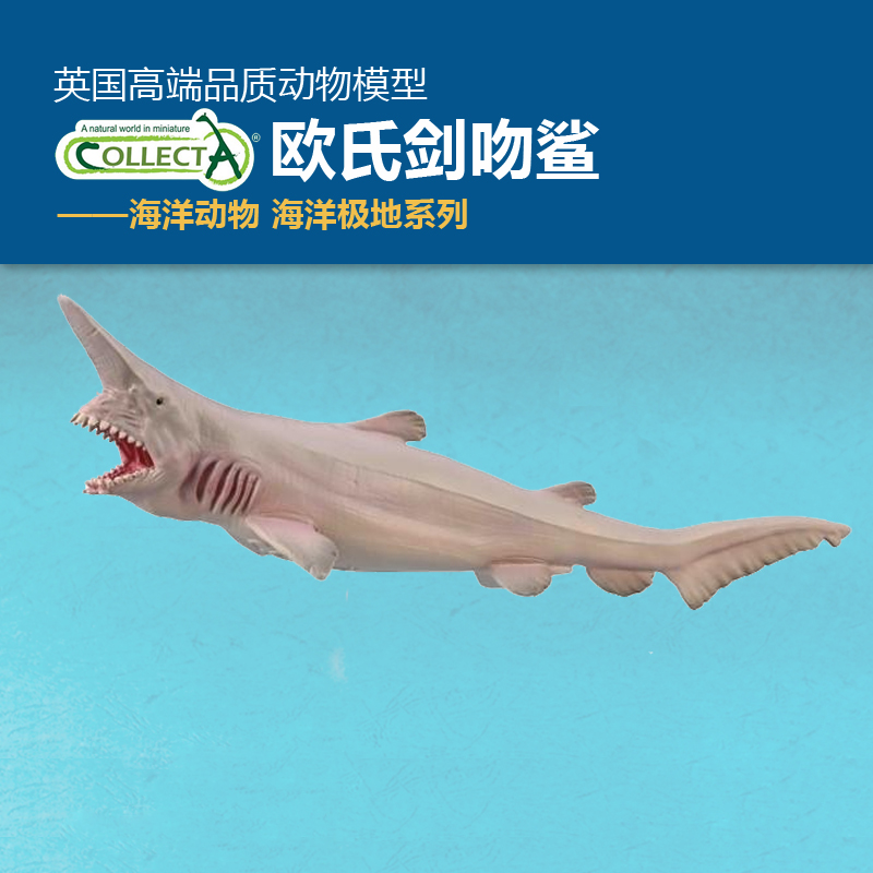 英国collecta鲨鱼仿真动物模型
