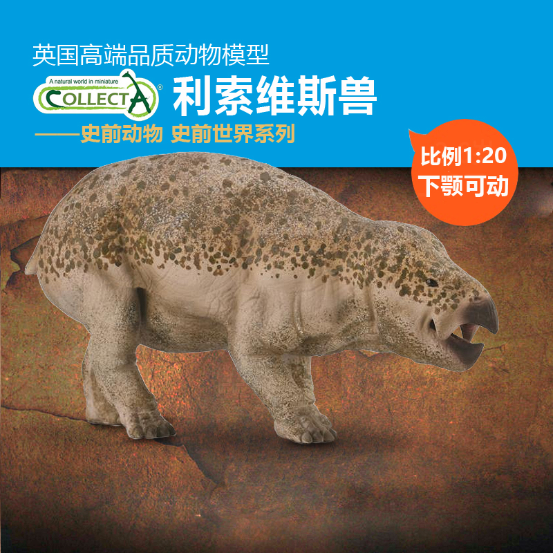 正品英国我你他collecta利索维斯