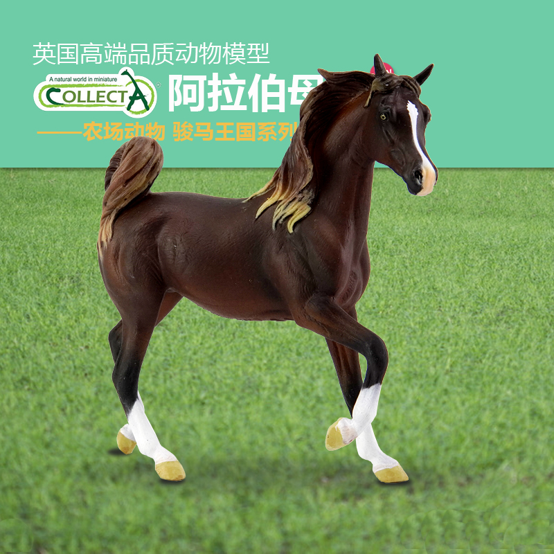 我你他阿拉伯母马仿真动物模型