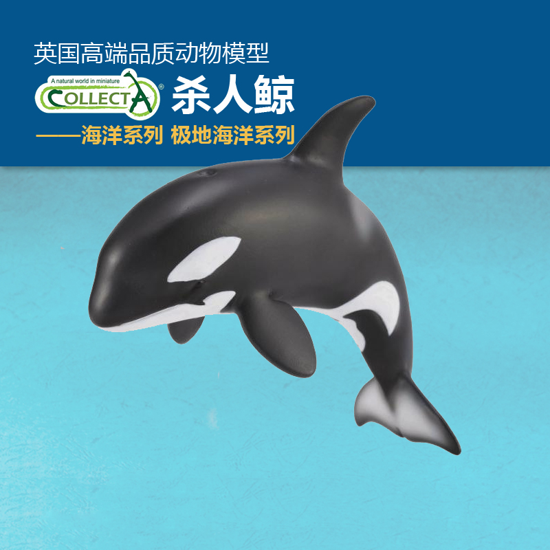 英国我你他虎鲸玩具动物模型