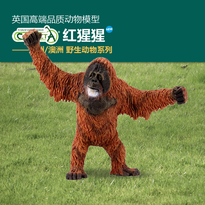 CollectA红毛猩猩动物模型