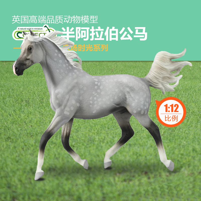 CollectA半阿拉伯公马动物模型