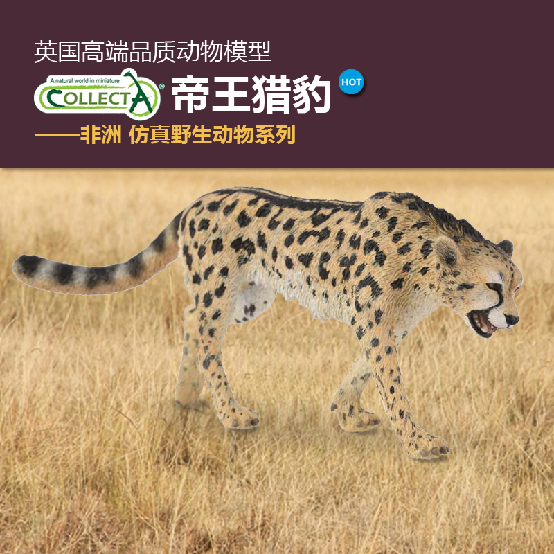 Collecta帝王猎豹摆件玩具模型