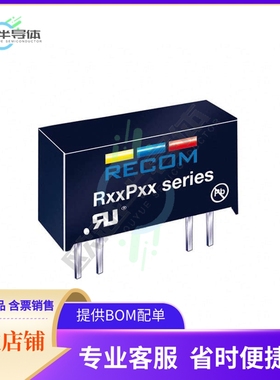 R24P09S/P/X2【DC DC CONVERTER 9V 1W】