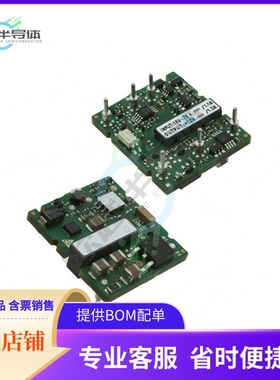 S36SE3R305NRFB【DC DC CONVERTER 3.3V 17W】