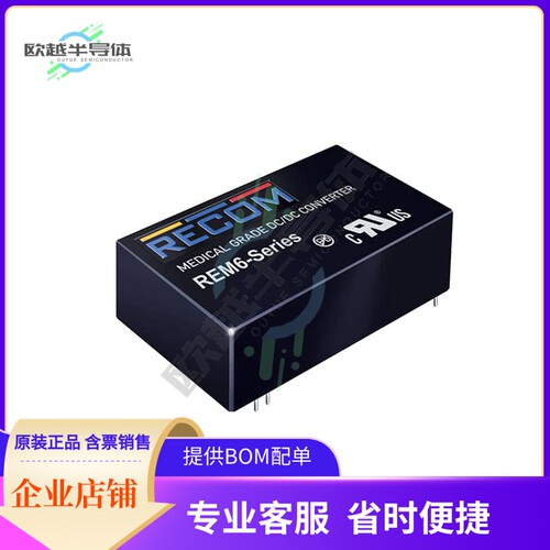 REM6-0515S/A【DC DC CONVERTER 15V 6W】