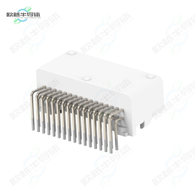1318745-9[连接器025 32POS CAP ASSY H TIN]