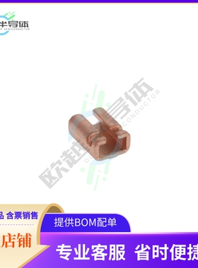 PSF4NTEBL500F【SHUNT RESISTOR】