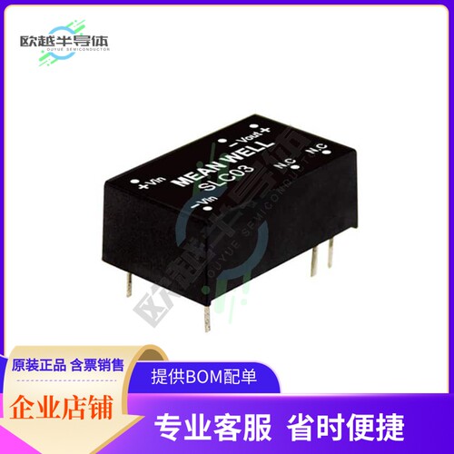 SLC03B-15【DC DC CONVERTER 15V 3W】