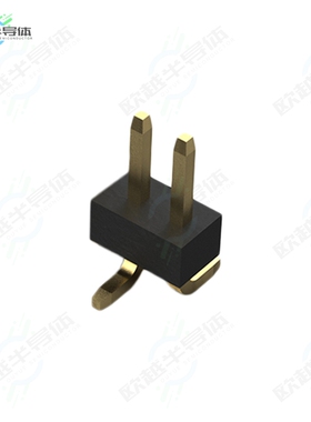 BC032-02-A-2-0200-0200-L-B[连接器2POS 1.0MM PITCH PIN HEADER