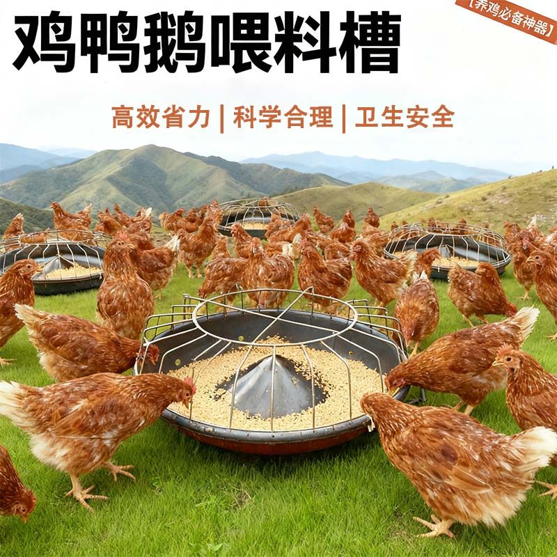 全新喂鸡食槽圆锥形喂鸡食槽加厚料槽鸡鸭鹅通用喂鸡食槽,畜牧/养殖物资,养殖用具,淘宝优惠券,粉丝福利购,淘宝优惠卷