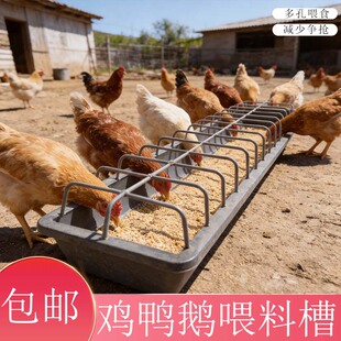 长方形鸡鸭喂料槽多孔喂食器家庭养殖设备防争抢喂食神器