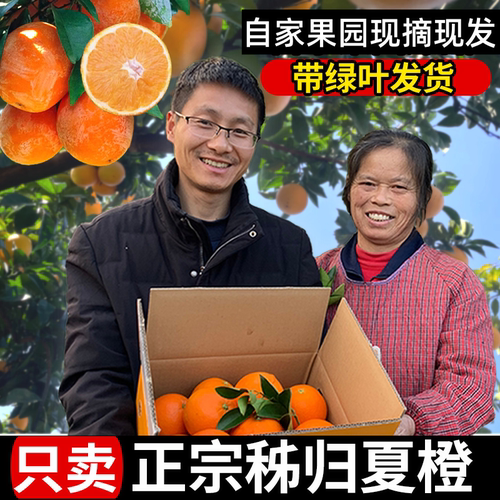 正宗现摘新鲜秭归夏橙甜橙子9斤