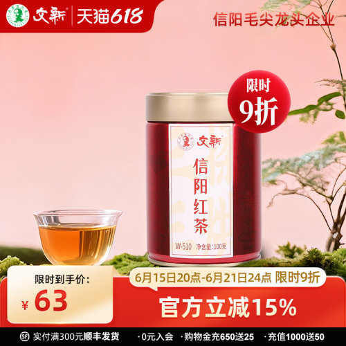 文新信阳红茶密封罐100g