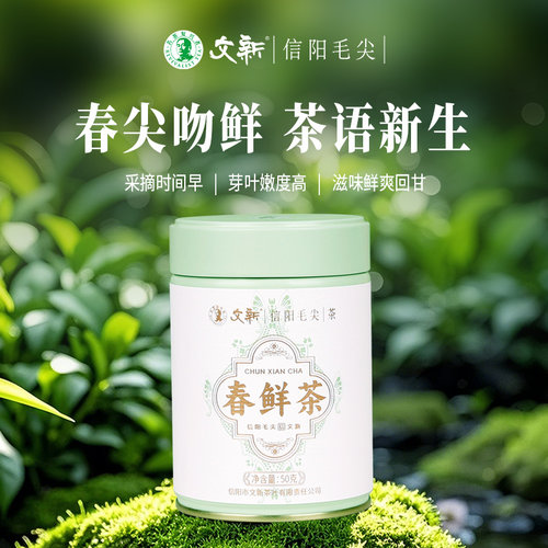 文新信阳毛尖明前春鲜茶50g