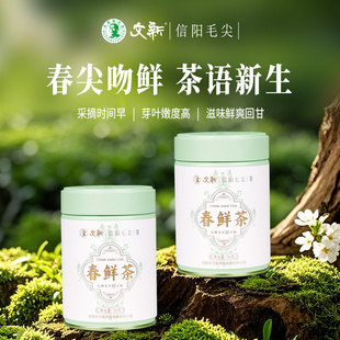 春茶上市文新信阳毛尖绿茶茶叶2025新茶明前特级春鲜茶50g 2罐