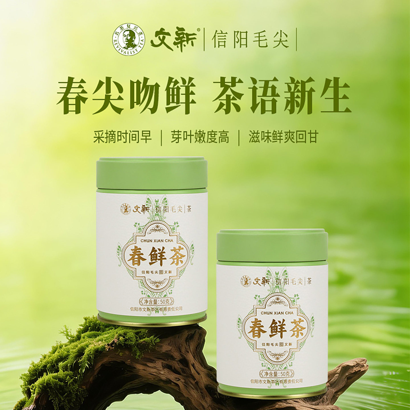 文新信阳毛尖绿茶茶叶2026新茶春茶明前特级嫩芽叶春鲜茶50g*2罐