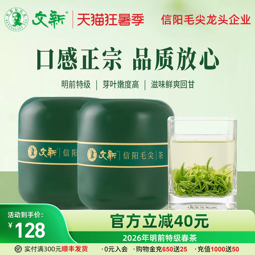 文新信阳毛尖明前特级嫩芽
