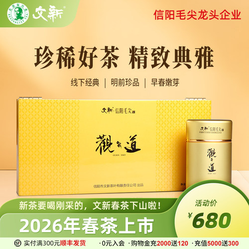文新信阳毛尖明前精品观道礼盒装