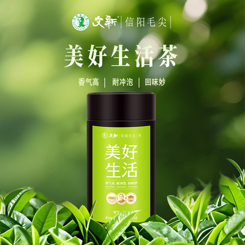 文新信阳毛尖美好生活茶（500）