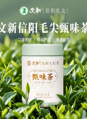 春茶上市文新信阳毛尖茶叶绿茶2025新茶雨前嫩芽叶甄味茶罐装50g