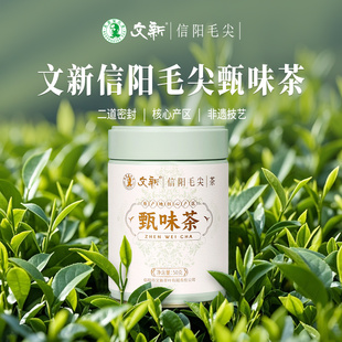 春茶上市文新信阳毛尖茶叶绿茶2025新茶雨前嫩芽叶甄味茶罐装 50g