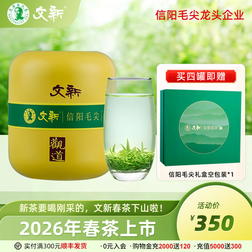 文新信阳毛尖明前珍品观道
