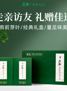 春茶上市文新信阳毛尖绿茶2025新茶雨前茶叶春礼送长辈礼盒装250g