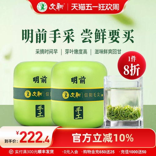 文新信阳毛尖明前头采
