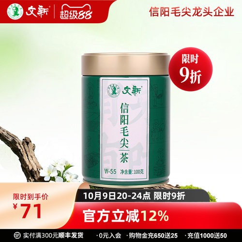 文新信阳毛尖有芽有叶