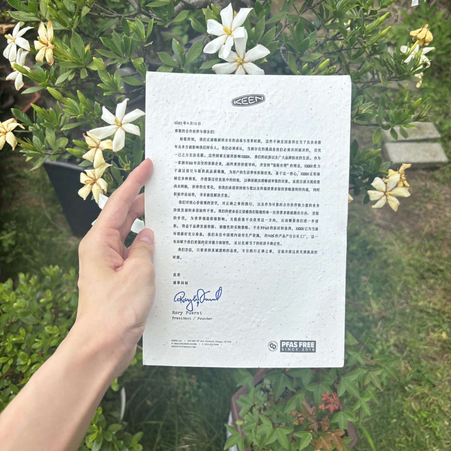 A4大张种子纸定制环保发芽diy空白合约书 新婚契约订婚书来图定制图片