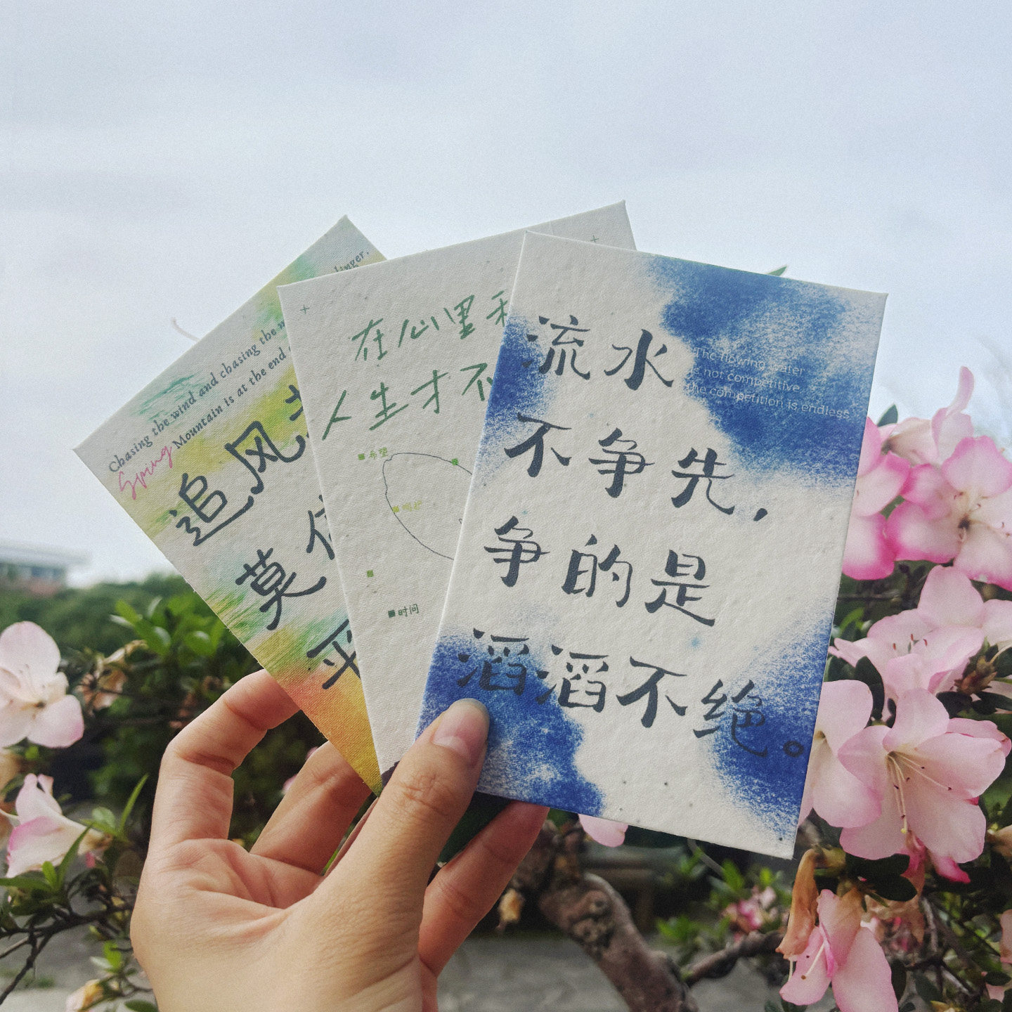 追风种子纸明信片 学生环保贺卡祝福文字卡片 环保创意原创礼物图片