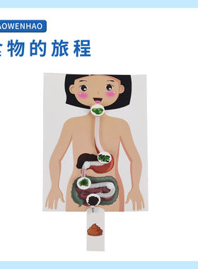 小问号科学实验食物的旅程消化