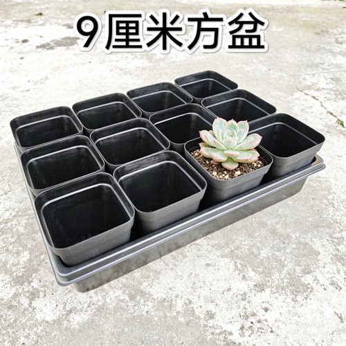 佳浩塑料盆厂家直发质量保证