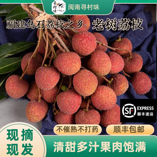 顺丰冷链福建黑叶荔枝礼盒装