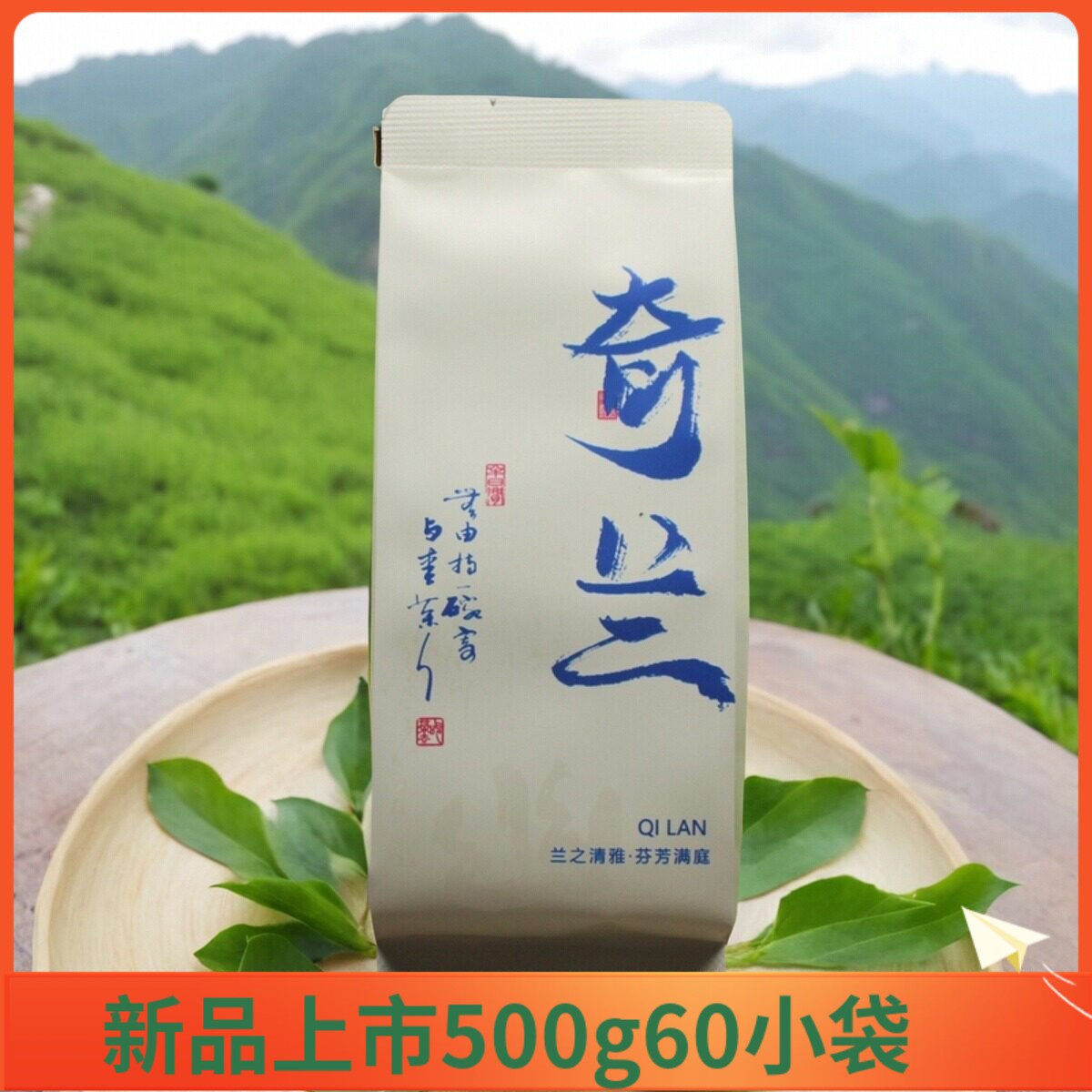新茶岩茶武夷花香奇兰茶叶金边鬼洞奇兰岩茶齐兰高山奇兰茶叶500g