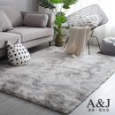 加厚超柔型丝毛客厅卧室飘窗休闲少女床边房间大面积满铺地毯地垫