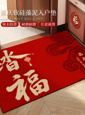 红色入户门地垫进门门口硅藻泥脚垫家用玄关乔迁防滑免洗可擦地毯