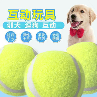 pet supplies toys sales dog manufacturers Direct from