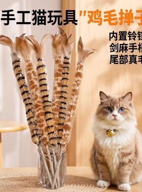 New product: chicken feather duster, cat teasing stick, cat